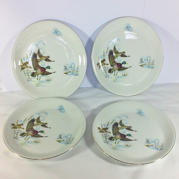Alfred Meakin Fenland Salad Plates