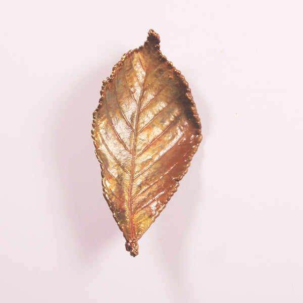 Preserved copper plated real leaf brooch
